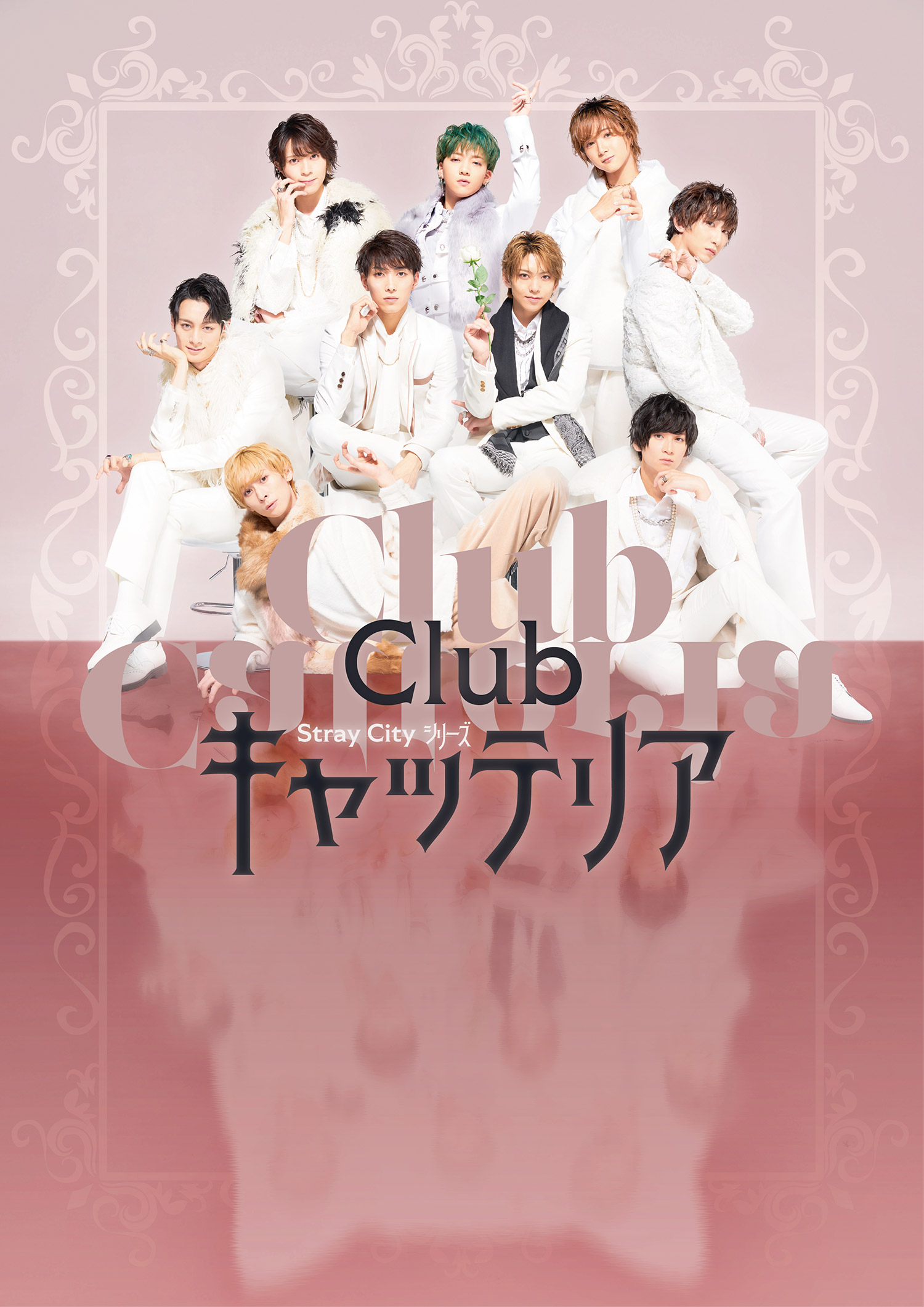 【高い素材】 Club 特典ブロマイド ／ Blu-ray キャッテリア その他